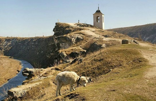 {В Старом Орхее высадят 24 тысячи деревьев и кустарников} Молдавские Ведомости