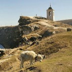 В Старом Орхее высадят 24 тысячи деревьев и кустарников