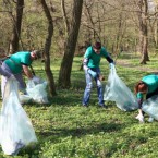 Субботник во всех кишиневских парках