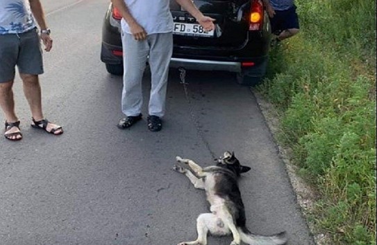 {У попа была собака, или Как натянуть сову на глобус} Молдавские Ведомости