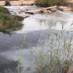 Бывшая глава Apă-Canal назвала вероятную причину зловония в Кишиневе  