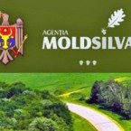 Новый директор агентства "Moldsilva"