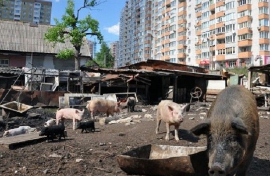 {Пусть Чебан будет мэром Кишинева, а Нэстасе - пригородов} Молдавские Ведомости