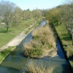 Воду из Быка нельзя использовать ни для чего 