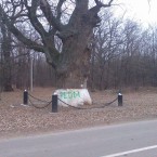 "То, что Плахотнюк вовлек его в схему, сделал козлом отпущения и принес в жертву, не уменьшает его вины"