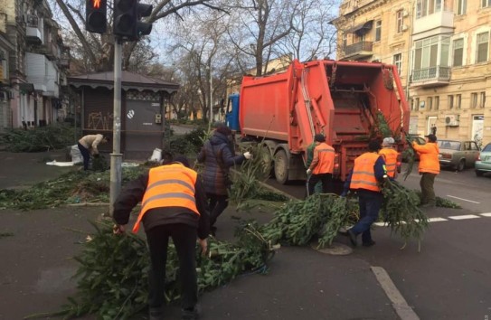 {В Одессе составляют черный список предпринимателей, устроивших кладбище елок} Молдавские Ведомости