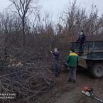 «Черные» лесорубы превращают Молдову в пустыню