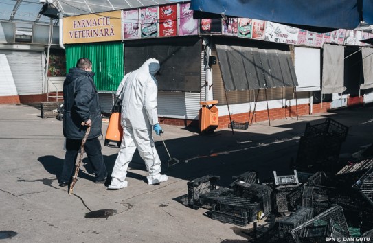 {Примэрия Кишинева откроет счета для желающих пожертвовать на борьбу с коронавирусом} Молдавские Ведомости