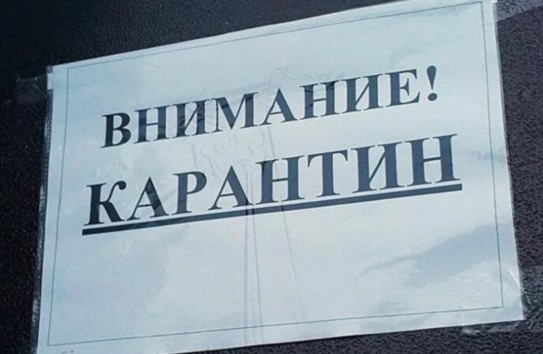 {Эпидемиолог: На всех домах, в которых живут люди, приехавшие из-за рубежа, должно быть написано „карантин”} Молдавские Ведомости