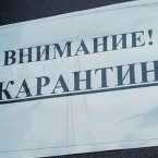 Эпидемиолог: На всех домах, в которых живут люди, приехавшие из-за рубежа, должно быть написано „карантин”