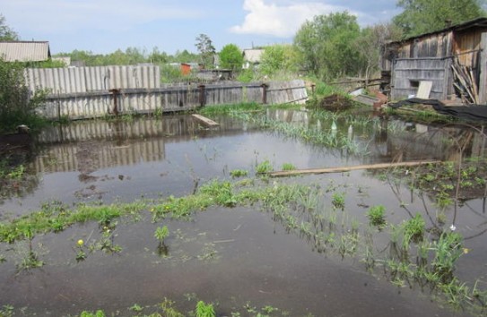 {Ребенок утонул... в огороде} Молдавские Ведомости