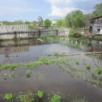 Ребенок утонул... в огороде