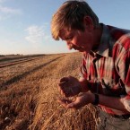 Национальная федерация фермеров призывает объявить форс-мажорную ситуацию в сельском хозяйстве