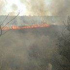 Пожарные призывают граждан не поджигать сухую растительность 