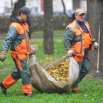 Столица купит еще пять трейлеров для перевозки листьев