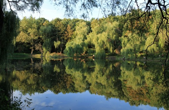 {Депутат уведомит прокуратуру о незаконном управлении водомами} Молдавские Ведомости