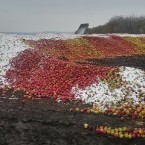 Додон: Из-за антироссийской политики в 2014-2015-м мы остались с яблоками на деревьях