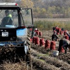 В Молдове средняя заработная плата в сентябре составила 7991,3 лея