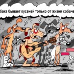 Шутки в сторону