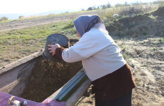 {Каждый второй живет с просроченным паспортом} Молдавские Ведомости