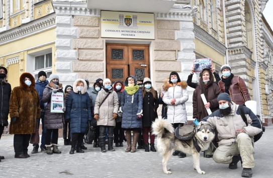 {Зоозащита: любое дело можно угробить, если  заниматься им непрофессионально} Молдавские Ведомости