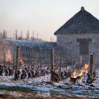 Французское вино будущего урожая спасают с помощью костров