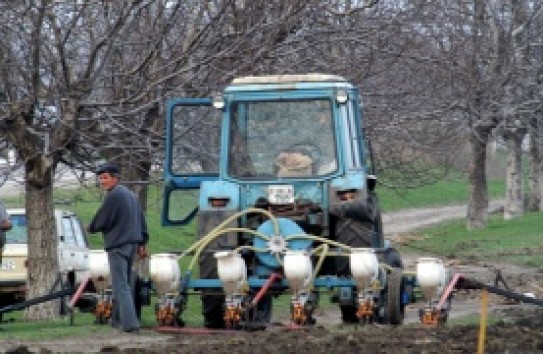 {Когда нельзя, но очень хочется…} Молдавские Ведомости