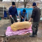 Молдаванин не верит людям - он верит в дом и семью 