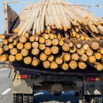 В Молдове из-за кризиса в энергетике запретили перевозку дров ночью