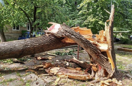 {Примар столицы: Пожалуйста, эвакуируйте машины из дворов секторов Чокана и Рышкань } Молдавские Ведомости