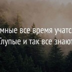 Платон: Диверсификация – это возможность купить энергоресурсы в другом месте подороже и получить откат 