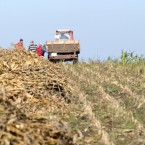 Аграрии тонут в долгах и требуют помощи, но тракторы на площадь не выводят