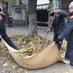 В Кишиневе начинается осенняя уборка