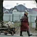 В Молдове наступает «ночь трех собак»