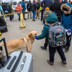 Цыганские беженцы были атакованы охраной, пустившей в ход слезоточивый газ