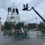 50 тысяч новогодних елок от "Молдсилва" по 72 лея за метр