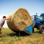 Фермеров на Украине убивают и бомбы, и правительство, и президент