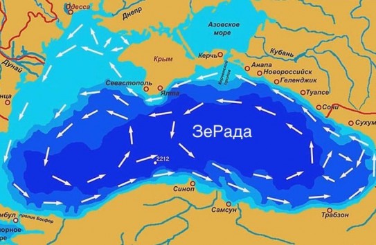 {Комаровский: Купаться в Чёрном море в Румынии и Болгарии опасно для здоровья} Молдавские Ведомости