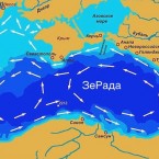 Комаровский: Купаться в Чёрном море в Румынии и Болгарии опасно для здоровья