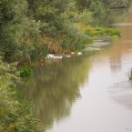 Водные ресурсы будут передаваться только в пользование