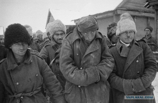 {Алексей Петрович: Фальсификаторам истории могут противостоять только в семье - надежды на государство нет } Молдавские Ведомости