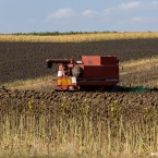 Фермеры требуют введения чрезвычайного положения на юге
