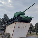 В Кагуле прошел митинг в защиту советского танка Т-34 от Немеренко