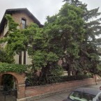 Восемь поваров готовили торжественный обед после каждого заседания румынского правительства