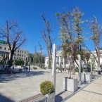 Тепловой капкан: бетон и асфальт убивают прохладу