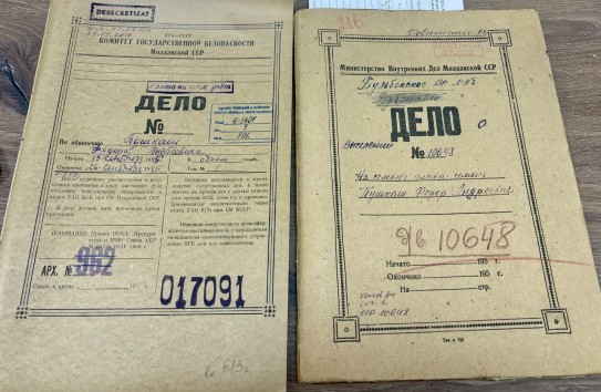 {"Население Бессарабии подвергнуть проверке, подозрительных уничтожать..."} Молдавские Ведомости