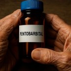 Во Франции 12 пенсионеров создали подпольную «скорую помощь смерти»