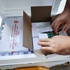 Выделено более 250 тысяч лей на закупку вакцины от гепатита В