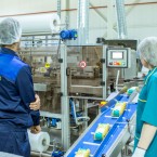 Молдова рискует потерять два последних работающих сахарных завода