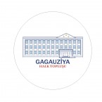 Ситуацию безвластия и хаоса в Гагаузии сознательно создает Кишинев
